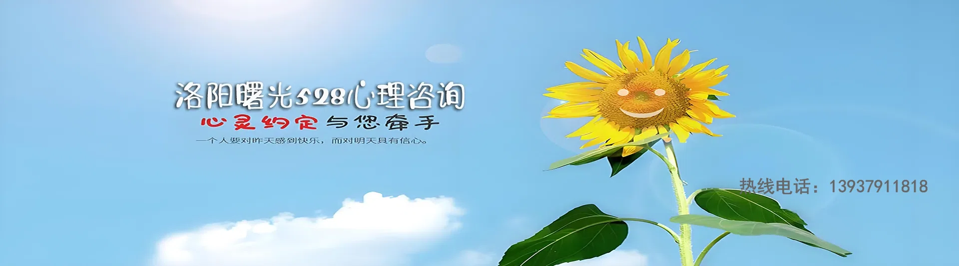 t003.webp